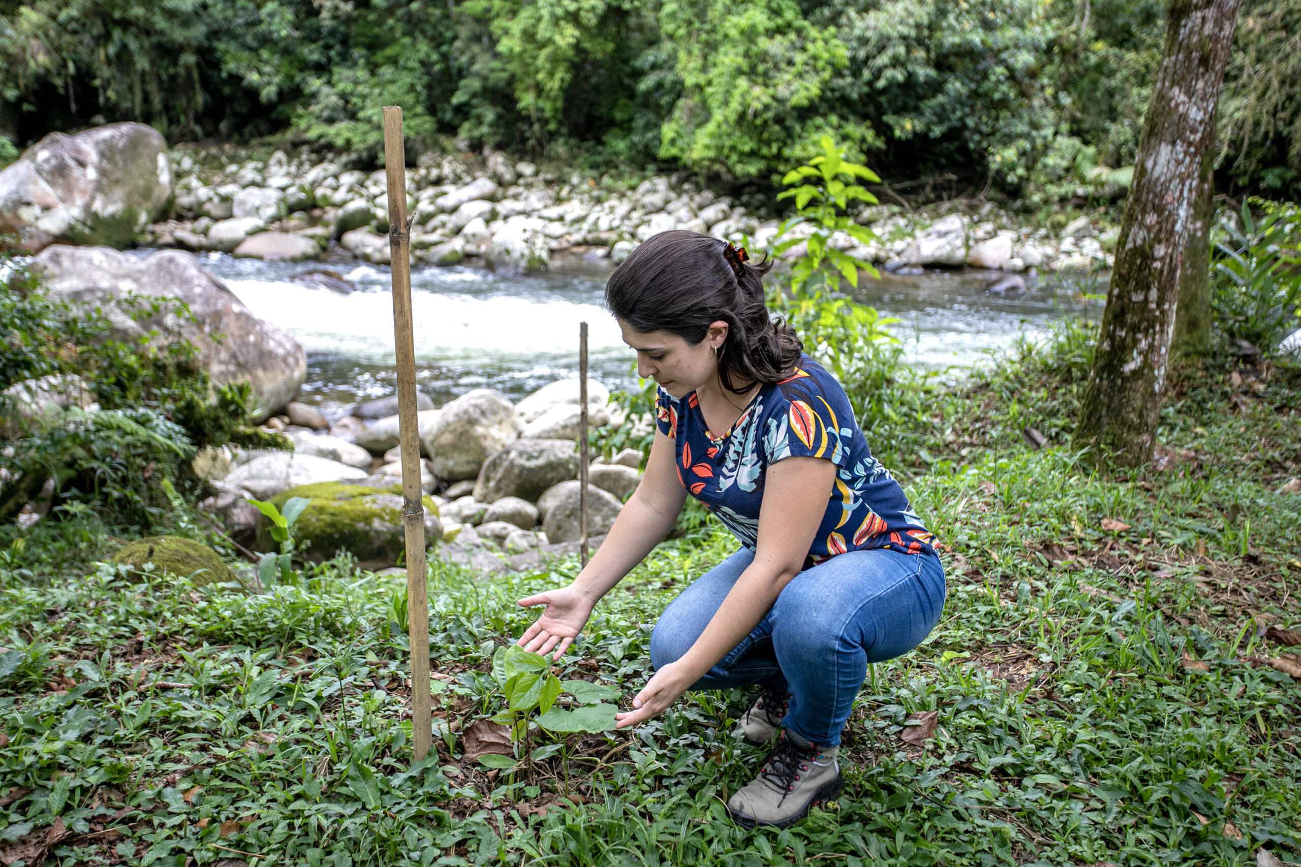 Portos do Paraná - Programa de Educação Ambiental